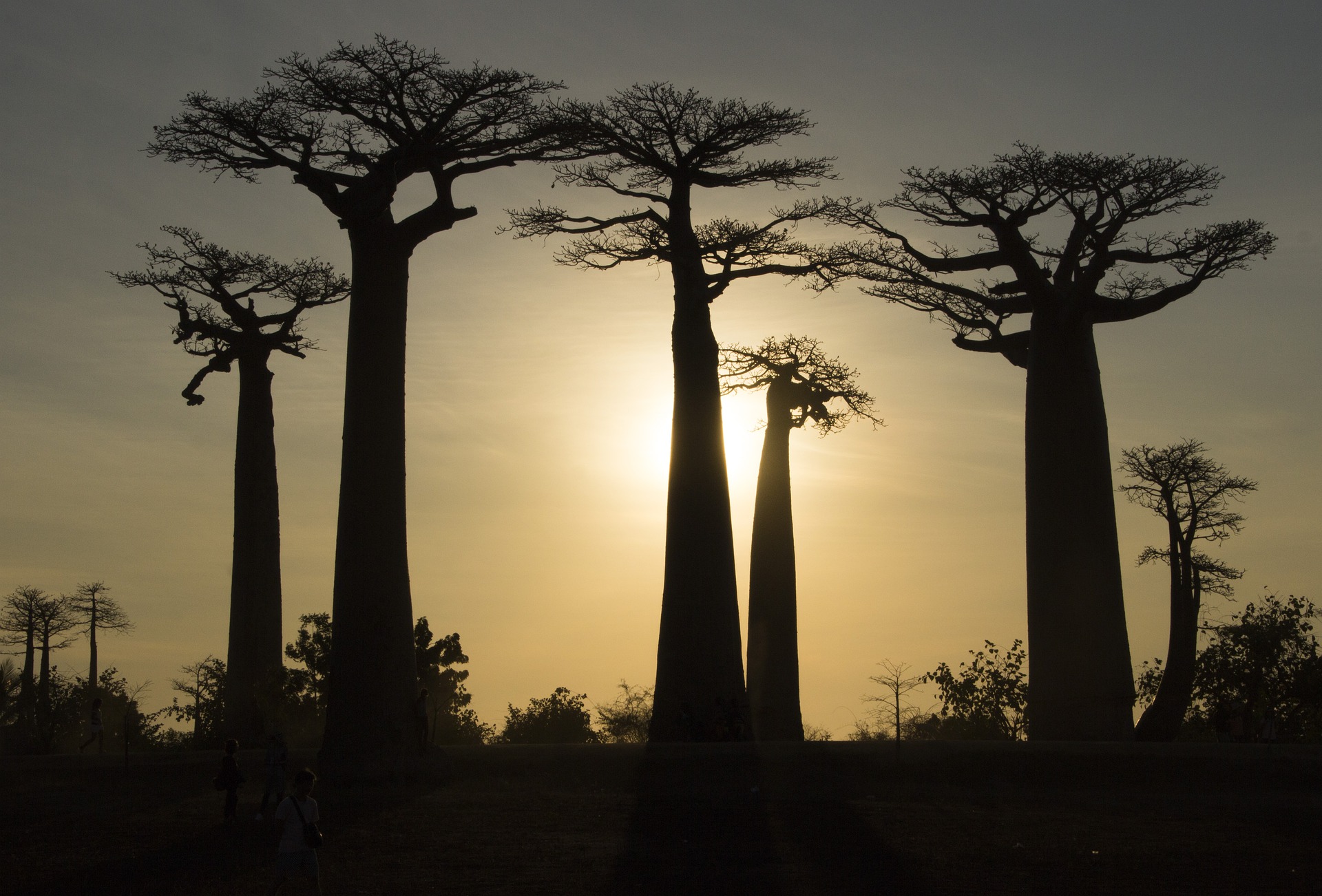 【Report】The tenth session of the Global Studies Seminar series “Challenges in Global Studies” “Coming Near Africa: An Approach from Political Science”